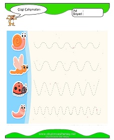 Çizgi Çalışma Sayfaları